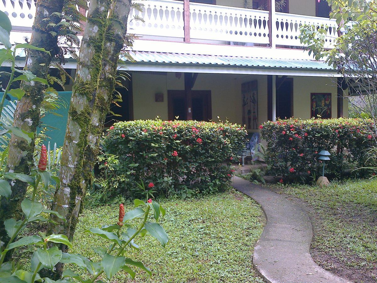 Playa Negra Guesthouse カウイータ エクステリア 写真
