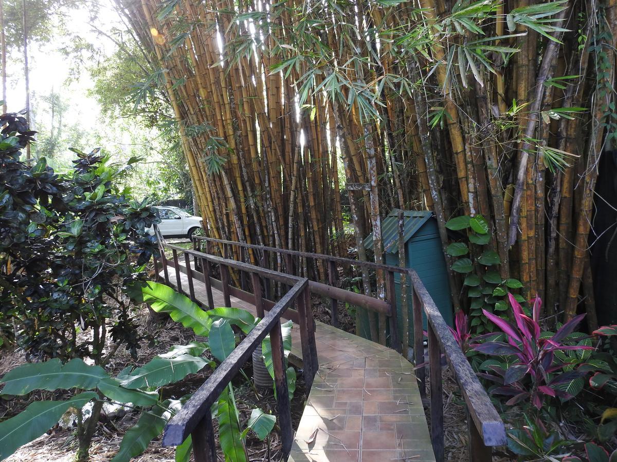 Playa Negra Guesthouse カウイータ エクステリア 写真
