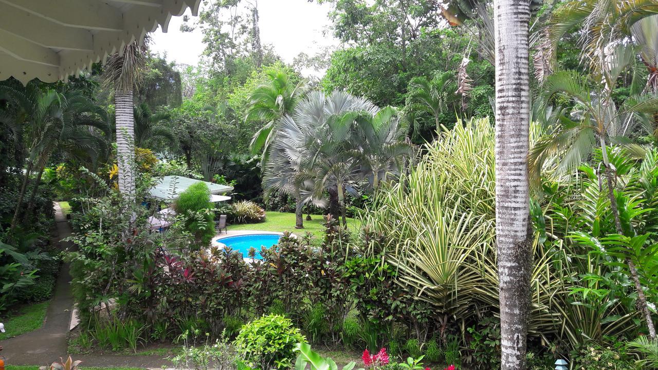Playa Negra Guesthouse カウイータ エクステリア 写真